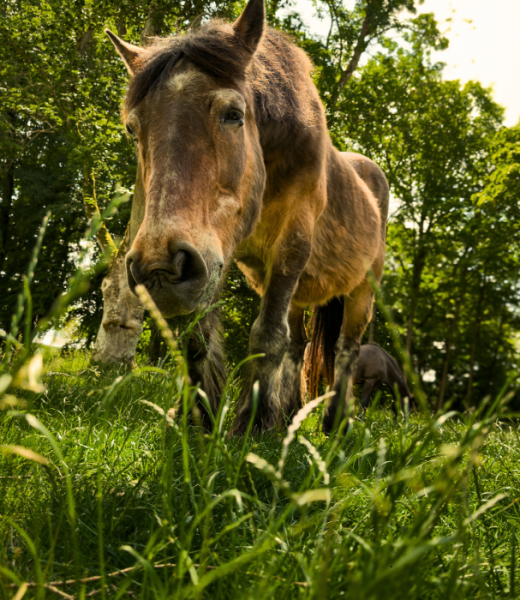 Projekt bez nazwy (3)